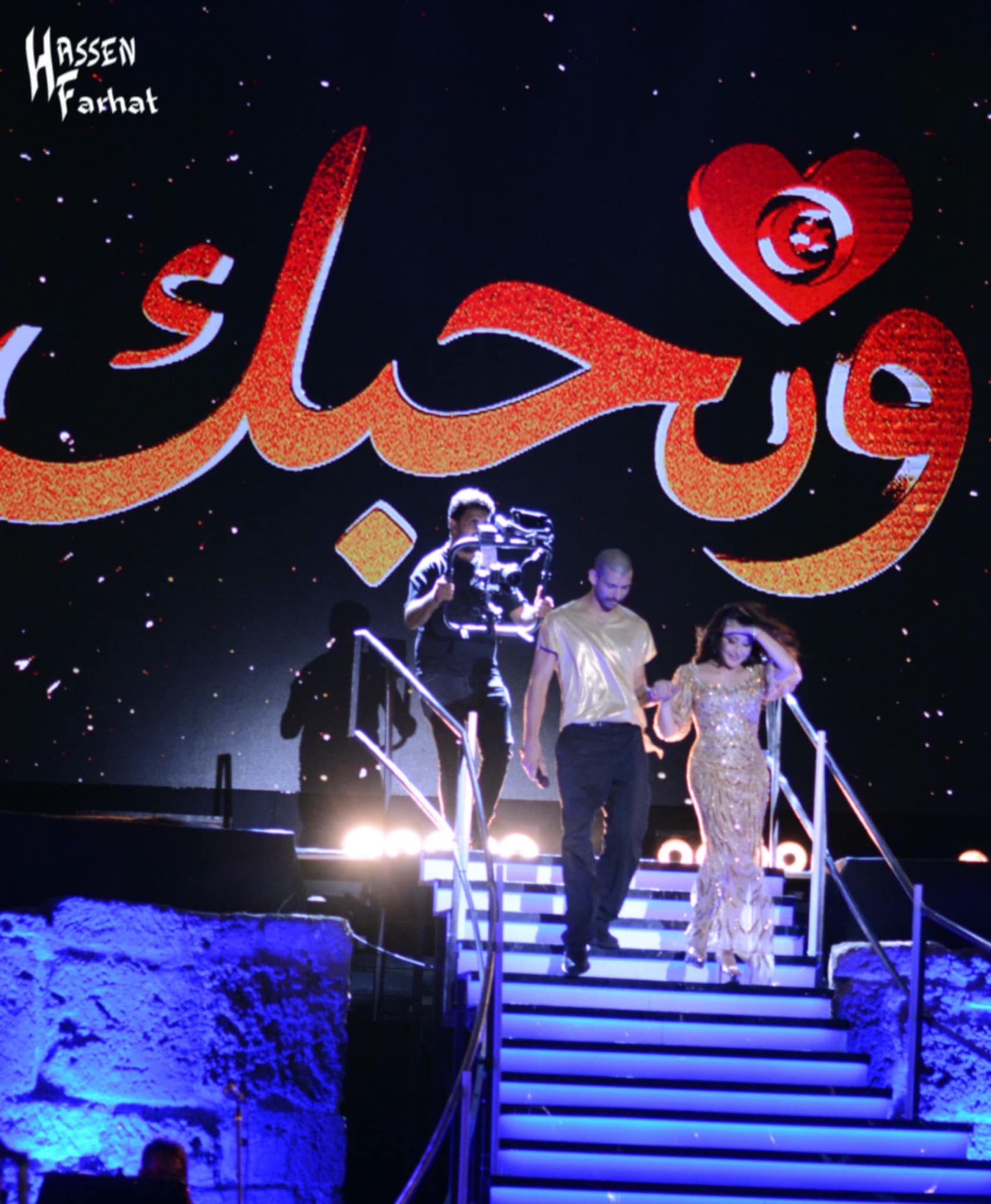 أمام شبابيك مغلقة: نجاح سهرة النجمة لطيفة العرفاوي في قرطاج